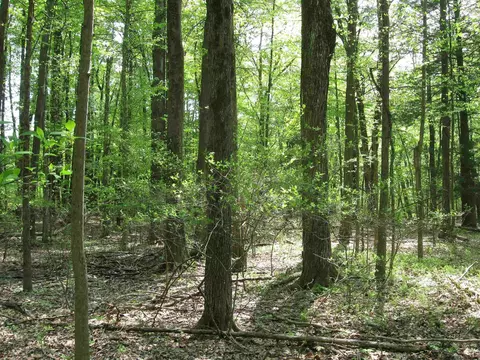 lot Tbd John Yaeger Rd, Saugerties, NY 12477