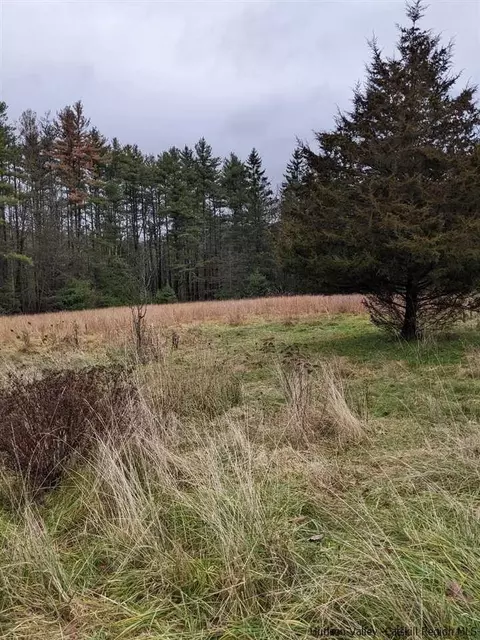 320 South Rd, Ruby, NY 12528 photo 12