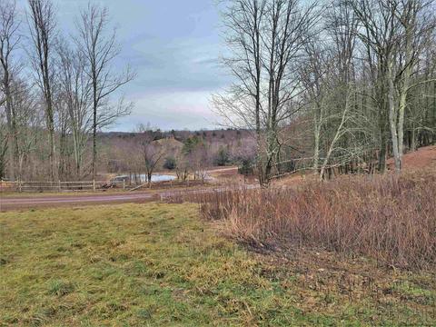 Lot 8 Timber Drive, Bethel, NY 12720