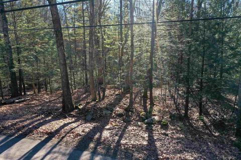 Tbd Brown Road, Olivebridge, NY 12461