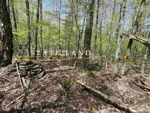 Tbd Tree Stand Lane, Jefferson, NY 12093