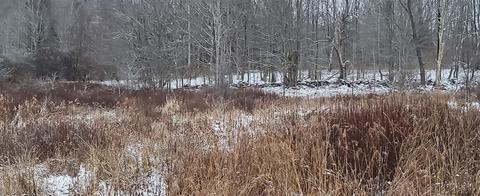 73 Quail Ridge Rds, Middletown, NY 13731
