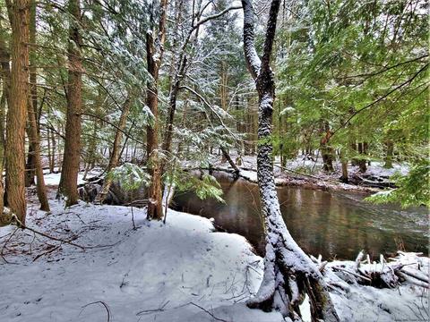 2 Jaketown Road, Bethel, NY 12720