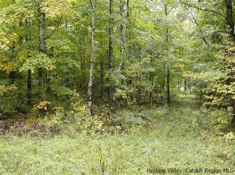 Tbd N Chodikee Lake Road, Highland, NY 12528