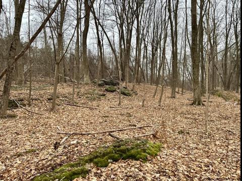 Tbd Dedrick Rd, Catskill, NY 12414 photo 2