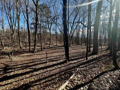 Tbd Dedrick Rd, Catskill, NY 12414 photo 12