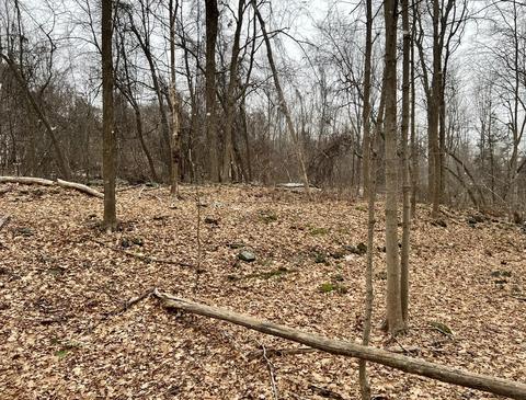 Tbd Dedrick Rd, Catskill, NY 12414 photo 4