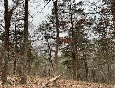 Tbd Dedrick Rd, Catskill, NY 12414 photo 6