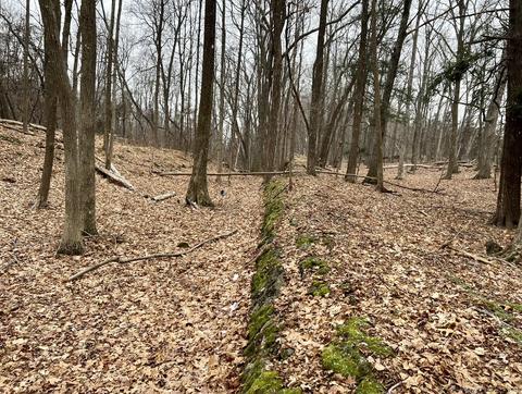 Tbd Dedrick Rd, Catskill, NY 12414 photo 3