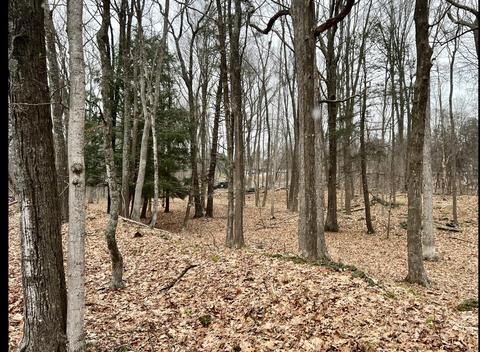 Tbd Dedrick Rd, Catskill, NY 12414 photo 8