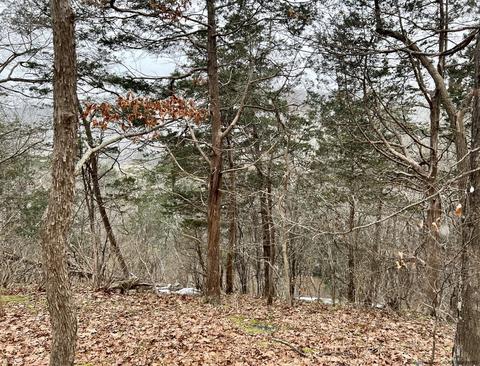 Tbd Dedrick Rd, Catskill, NY 12414 photo 7