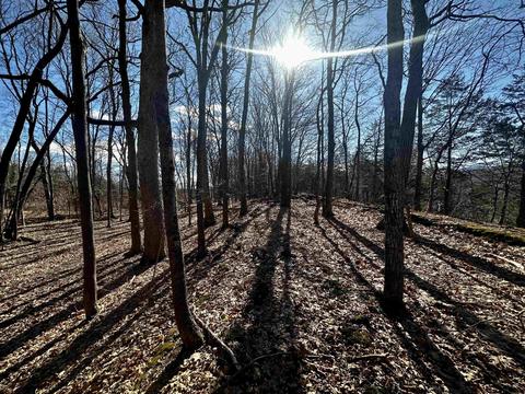 Tbd Dedrick Rd, Catskill, NY 12414 photo 13