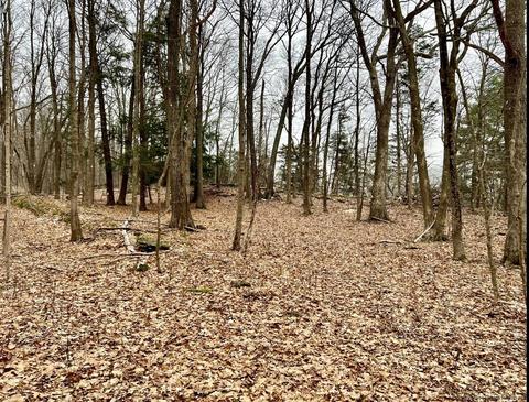 Tbd Dedrick Rd, Catskill, NY 12414
