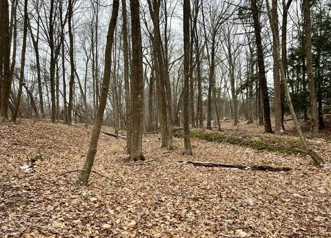 Tbd Dedrick Rd, Catskill, NY 12414 photo 9