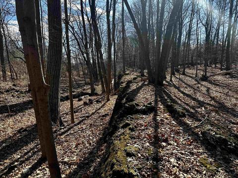 Tbd Dedrick Rd, Catskill, NY 12414 photo 11