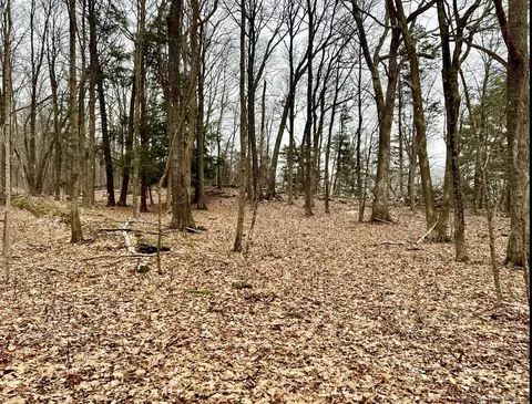 Tbd Dedrick Road, Catskill, NY 12414