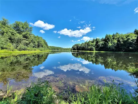 lot19 1 Beaver Lk, Livingston Manor, NY