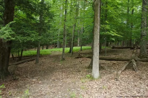 0 Beaverkill Rd, Olive, NY 12461 photo 30