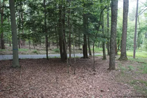 0 Beaverkill Rd, Olive, NY 12461 photo 28