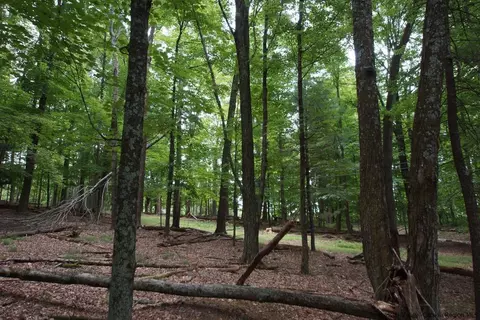 0 Beaverkill Rd, Olive, NY 12461 photo 13