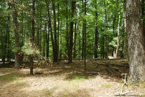 0 Beaverkill Rd, Olive, NY 12461 photo 5