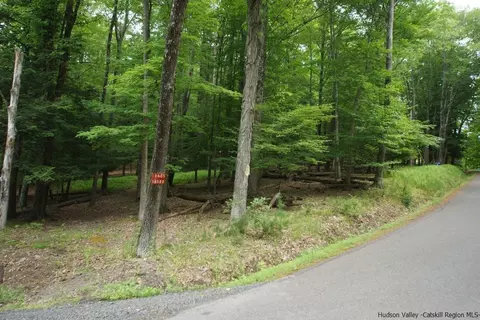 0 Beaverkill Rd, Olive, NY 12461 photo 3