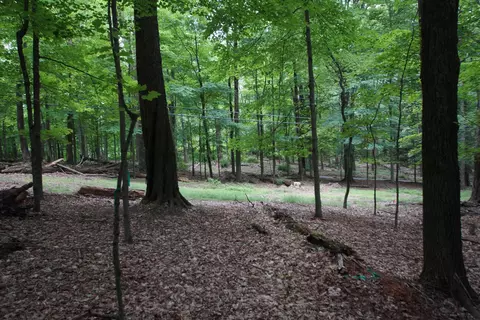 0 Beaverkill Rd, Olive, NY 12461 photo 24