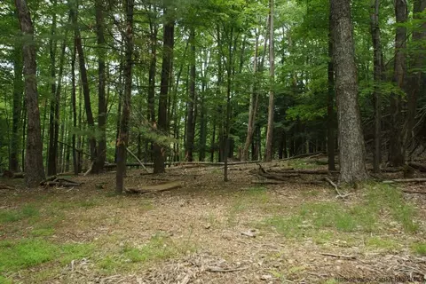 0 Beaverkill Rd, Olive, NY 12461 photo 29