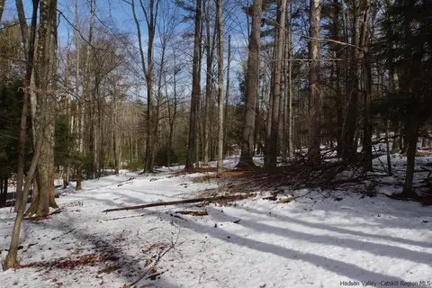 0 Beaverkill Rd, Olive, NY 12461 photo 35