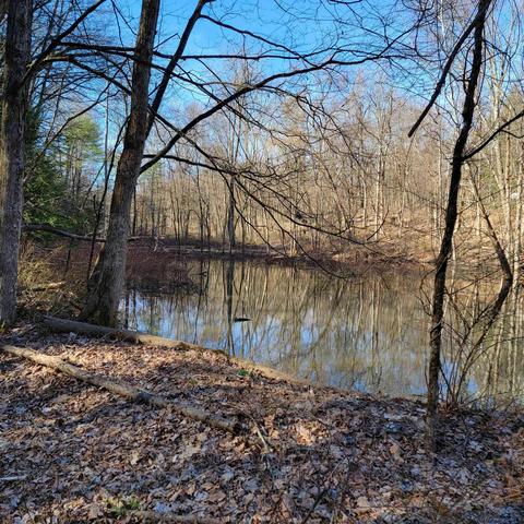Tbd Shady Lane, Kingston, NY 12401
