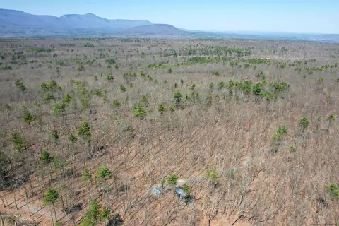817 Vedder Mtn, Catskill, NY 12414 photo 26