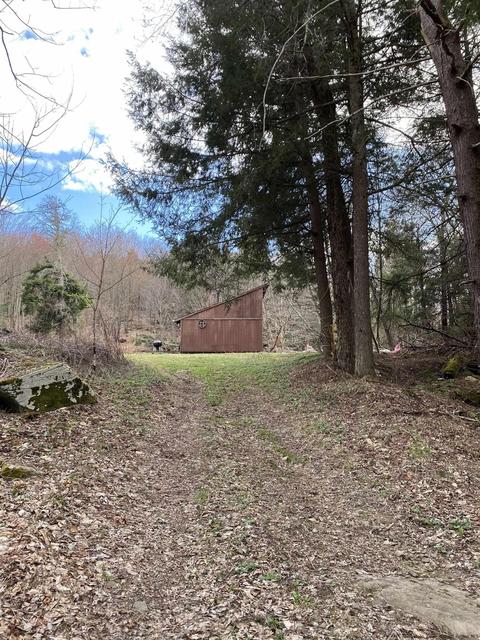 1189 Lower Dingle Hill Rd, Andes, NY 13731