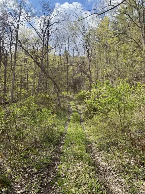 tbd Mill Vly, Middleburgh, NY 12122