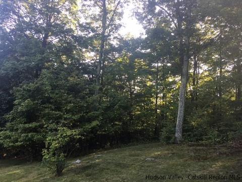 Tbd Crescent Avenue, Plattekill, NY 12568