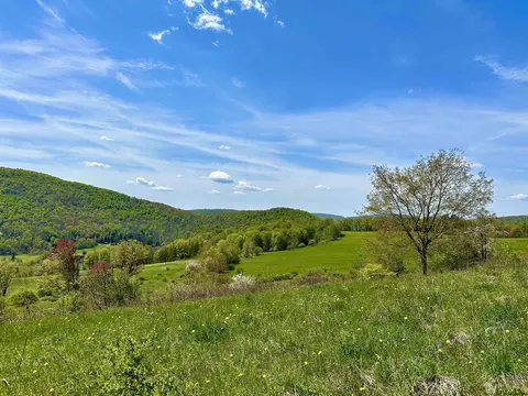 0 Reinertsen Rd, Bovina, NY 13740