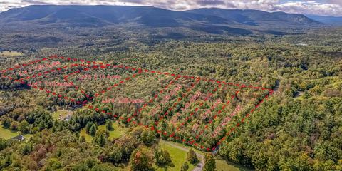 625 Clum Hill Rd #LOT 6, Elka Park, NY 12427