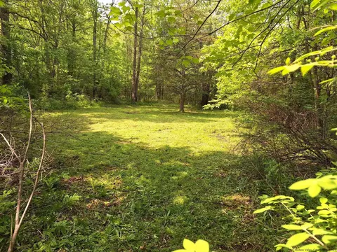 2433 Bruynswick Rd, Wallkill, NY 12589 photo 22