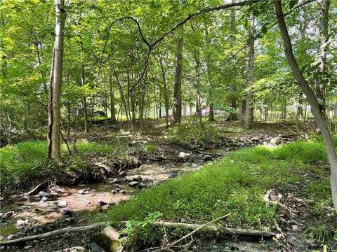 Waltke Road, Wallkill, NY 12589 photo 10