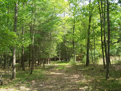 lot1 White Pne, Saugerties, NY 12477
