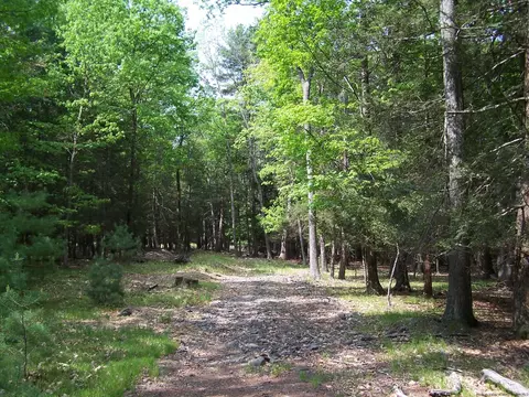 lot2 White Pne, Saugerties, NY 12477