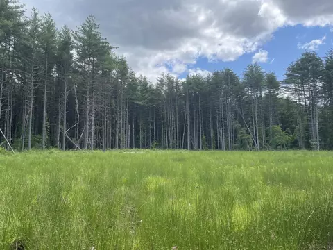 35 Millbrook Ln, Accord, NY 12404