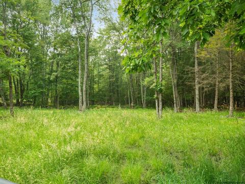 1607 County Route 2, Olivebridge, NY 12461 photo 30