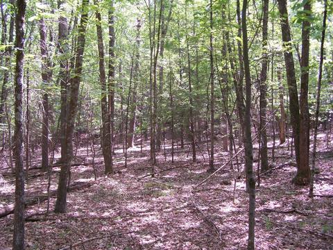 Tbd Samsonville Road, Kerhonkson, NY 12446