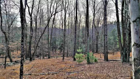 tbd Church Rd, Mountain Dale, NY 12763