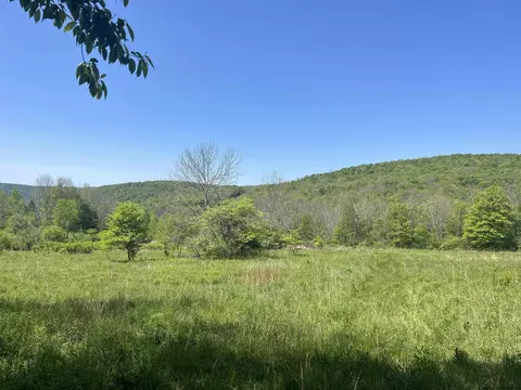 E Bramley Mtn Road, Bovina, NY 13740