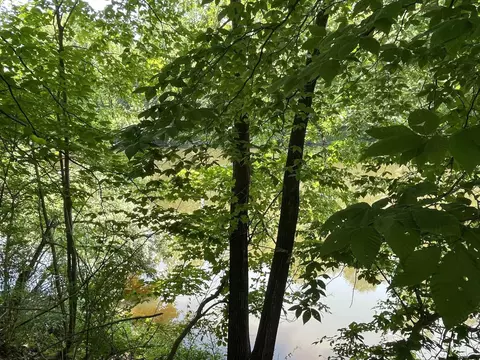 2337 Lucas, High Falls, NY 12440