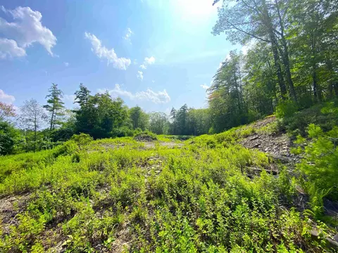 tbd Cedar Dr, Kerhonkson, NY 12446
