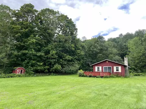 1199 Cold Spring Rd, Roxbury, NY 12474