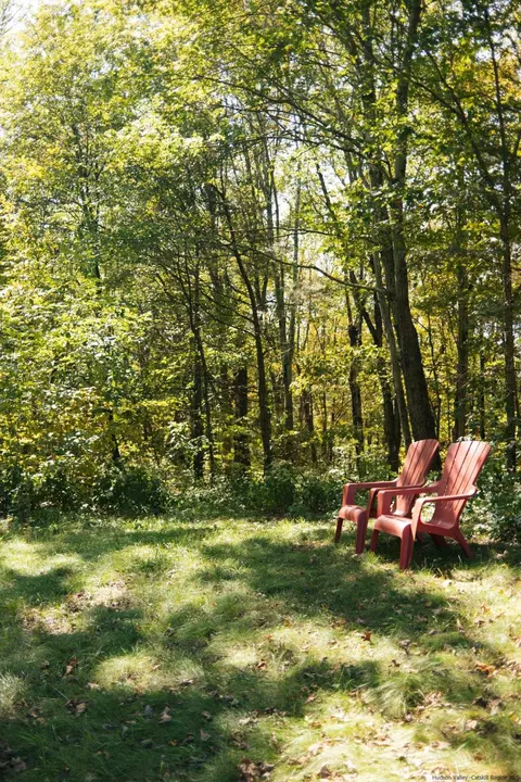 142 E Fallkill Rd, Hyde Park, NY 12538 photo 32