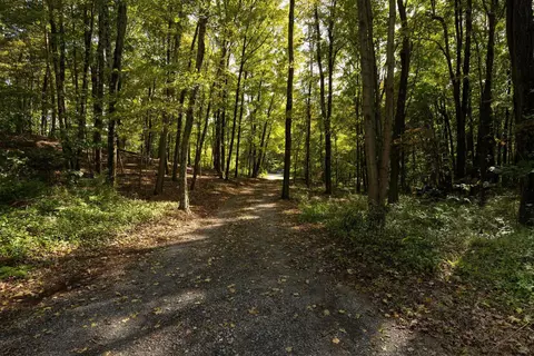 142 E Fallkill Rd, Hyde Park, NY 12538 photo 35